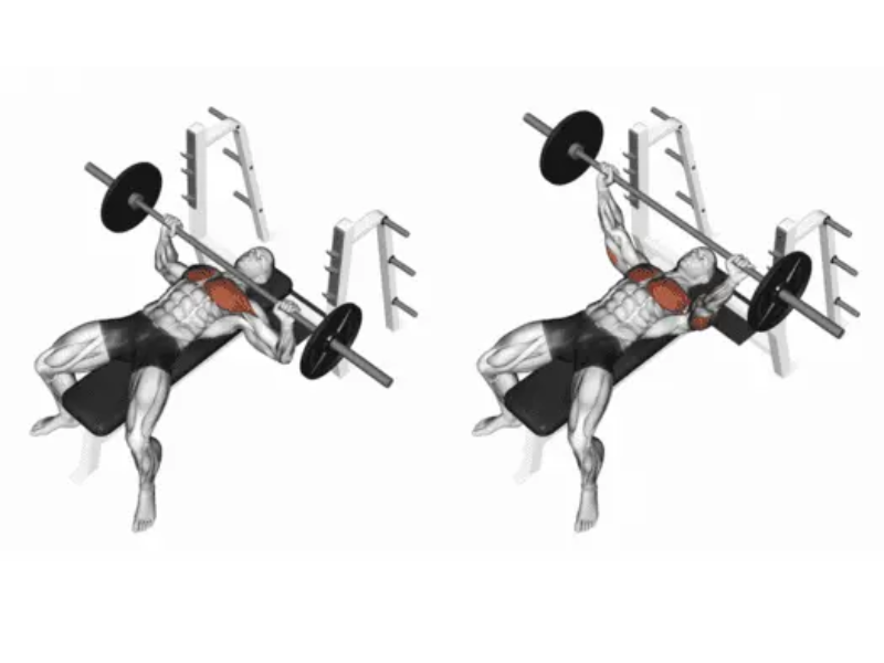 benchpress-800x600-1