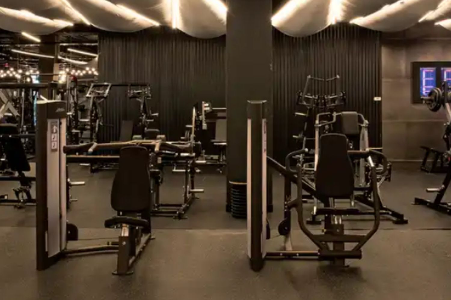 Life Fitness carroussel (1)