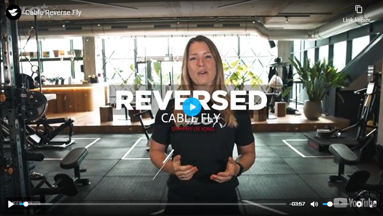 reverse cable fly kabelstation