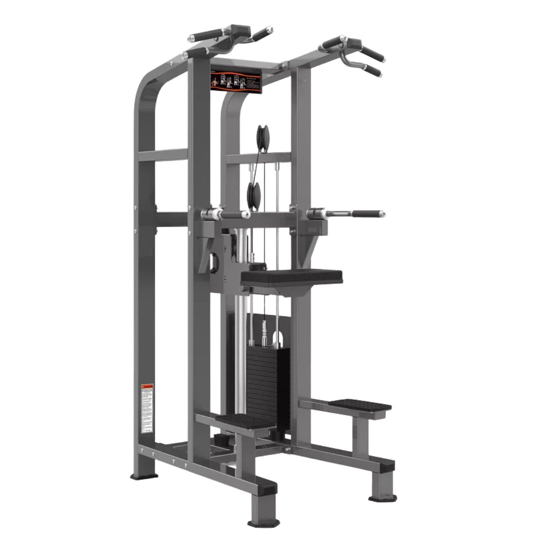 Realleader M2 Chin dip assist