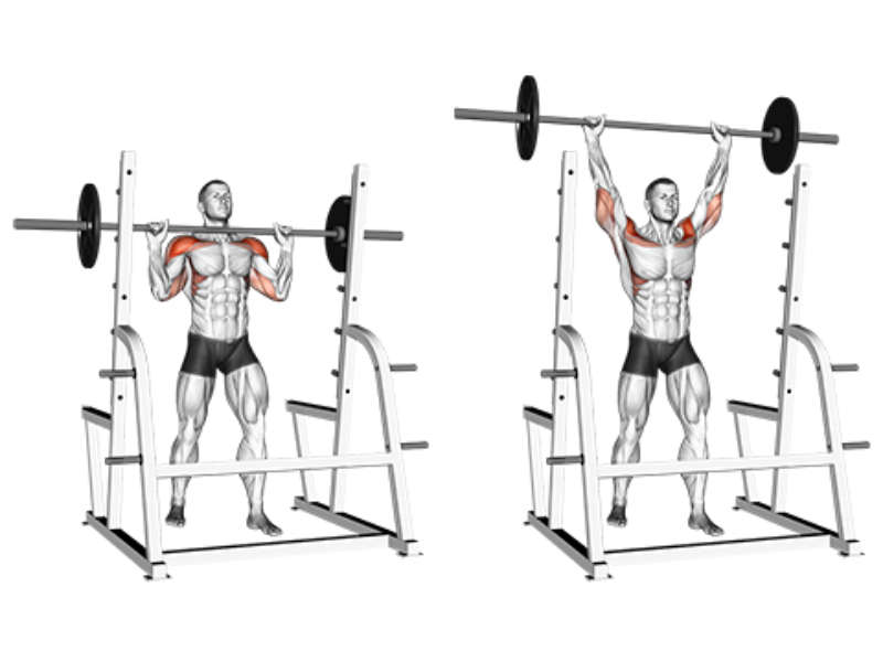 military-press-800x600