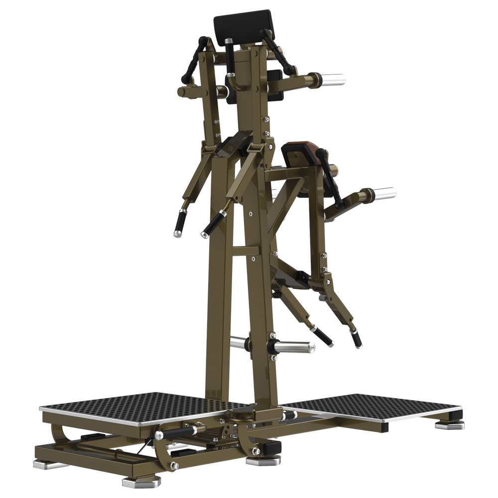 Realleader leader line lateral raise rear deltoid