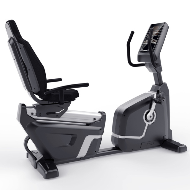 Realleader RE-6600R Recubment Bike