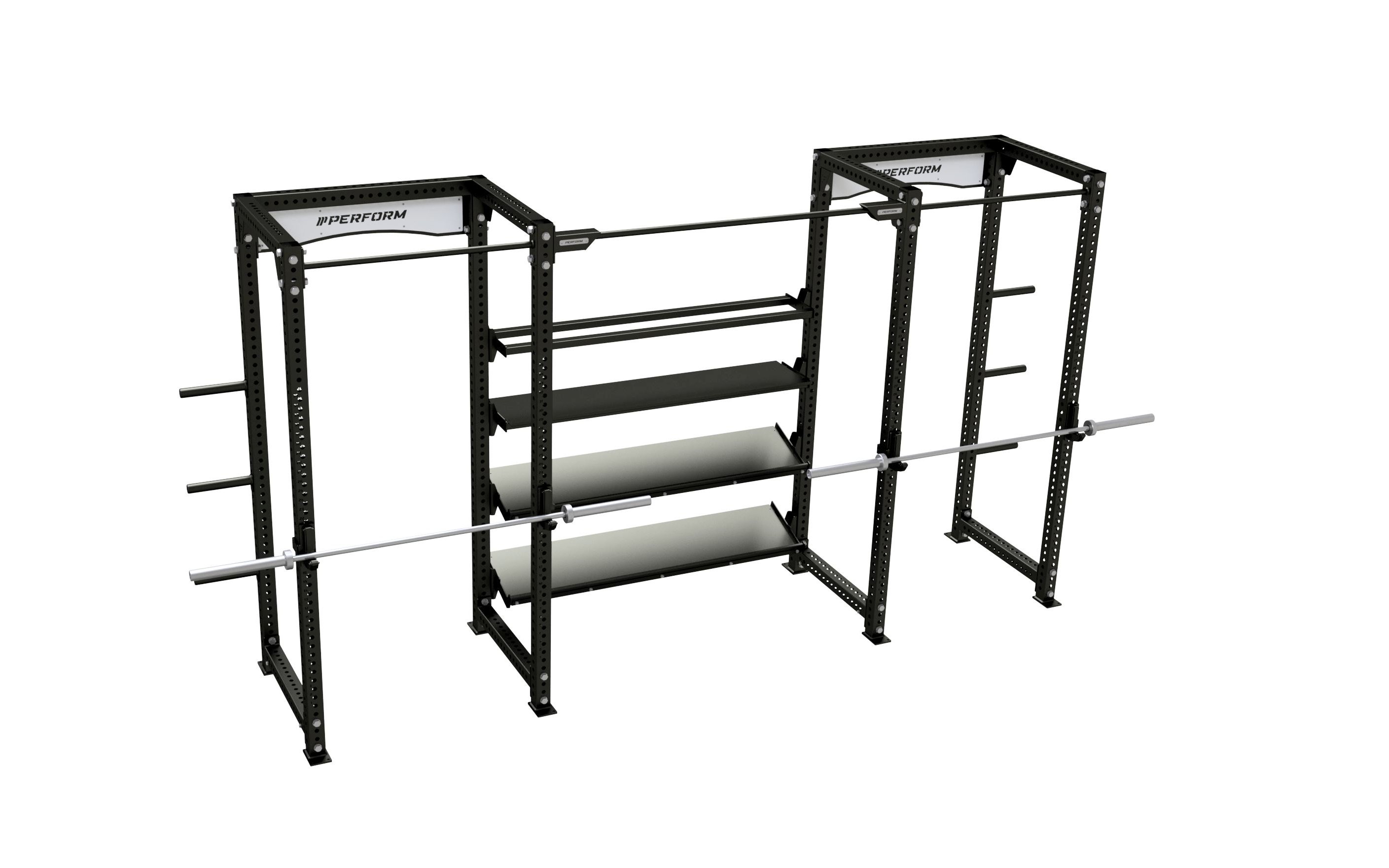 Perform-2xSR4+Storage