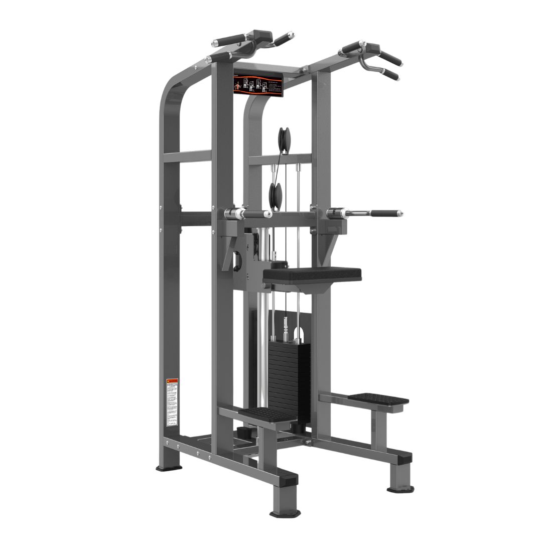 Realleader PF Chin dip assist