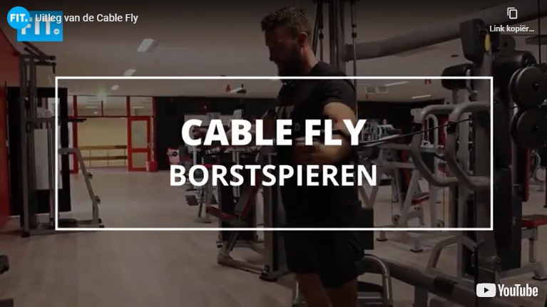 cable chest fly kabelstation