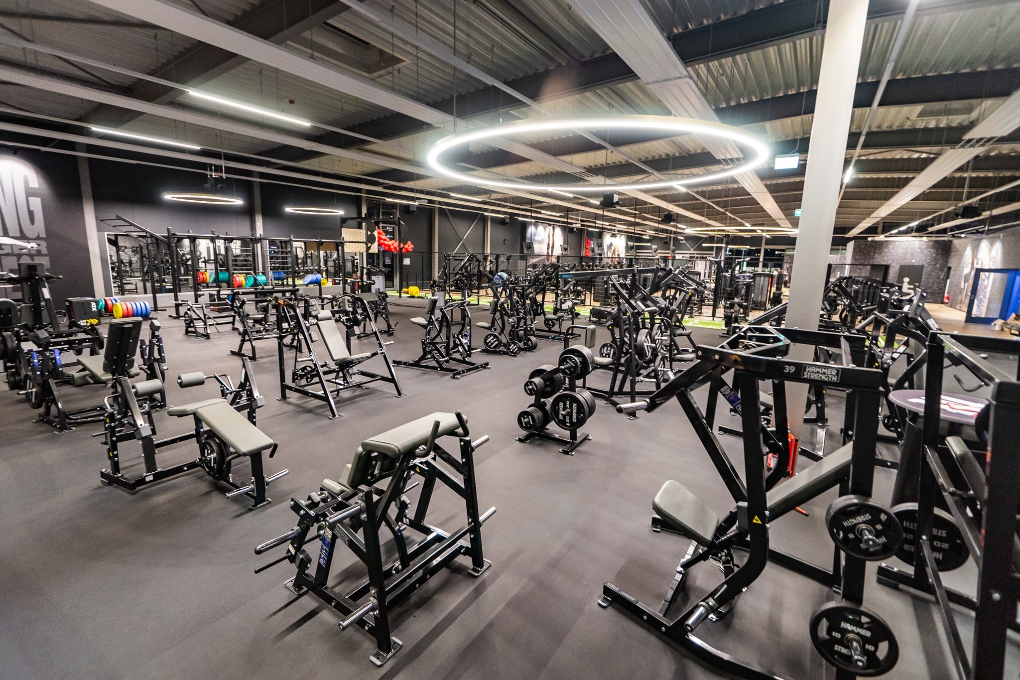 Hammer Strenght overview