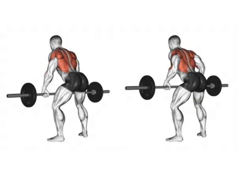 bent-over-row-800x600